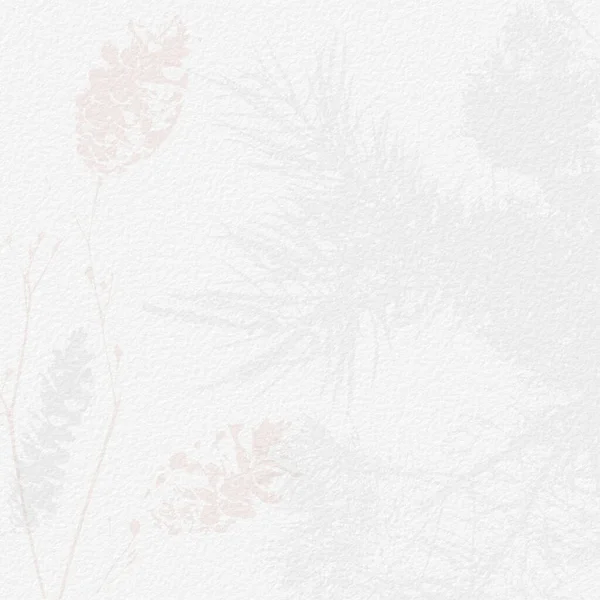 精致的水彩画植物数字纸花背景柔和的基本裸体米色色调 白色有机纸纹理上的中性优雅图案 — 图库照片