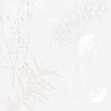 Narin, suluboya, botanik dijital kağıt, çiçek arkaplanı, yumuşak, basit, çıplak bej renkler. Beyaz organik kağıt dokusunda nötr zarif desen