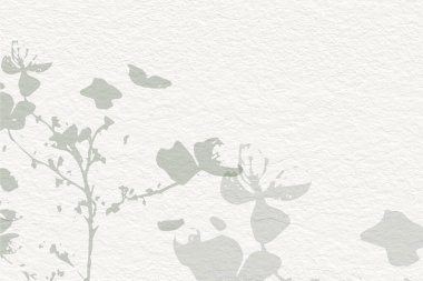 Narin, suluboya, botanik, dijital kağıt, çiçek arkaplanı, basit, çıplak, yeşil tonlarda. Beyaz organik kağıt dokusunda nötr zarif desen