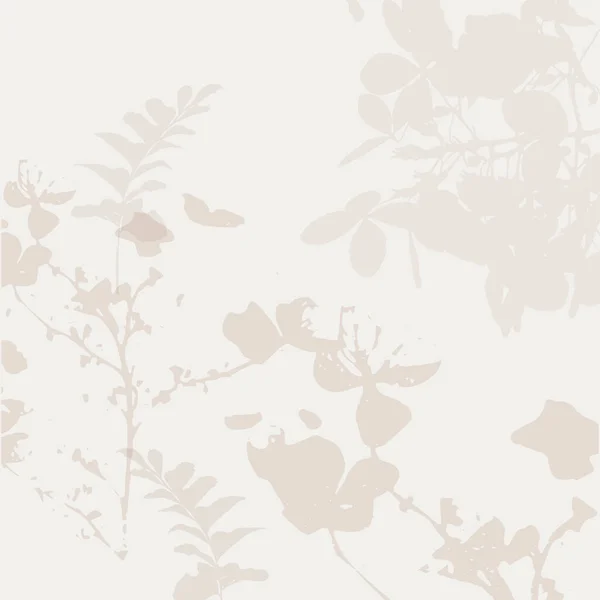 Modèle Vectoriel Délicat Avec Des Fleurs Sauvages Herbes Botaniques Doux — Image vectorielle