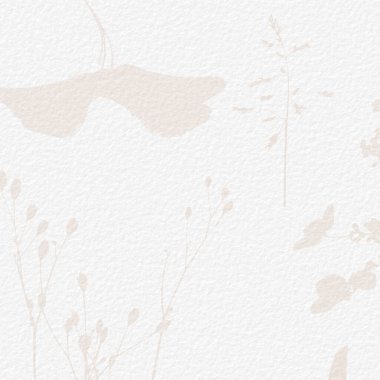 Narin, suluboya, botanik dijital kağıt, çiçek arkaplanı, yumuşak, basit, çıplak bej renkler. Beyaz organik kağıt dokusunda nötr zarif desen