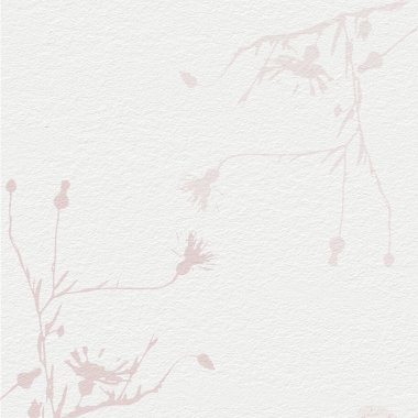 Narin, suluboya, botanik dijital kağıt, çiçek arkaplanı, yumuşak, basit, çıplak bej renkler. Beyaz organik kağıt dokusunda nötr zarif desen