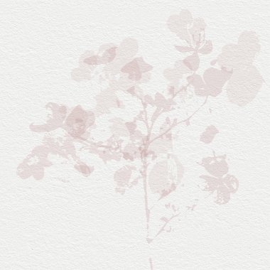 Narin, suluboya, botanik dijital kağıt, çiçek arkaplanı, yumuşak, basit, çıplak bej renkler. Beyaz organik kağıt dokusunda nötr zarif desen