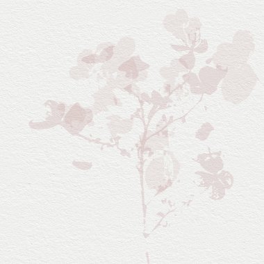 Narin, suluboya, botanik dijital kağıt, çiçek arkaplanı, yumuşak, basit, çıplak bej renkler. Beyaz organik kağıt dokusunda nötr zarif desen