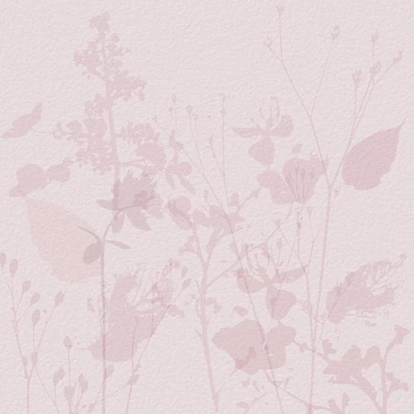 Narin Suluboya Botanik Dijital Kağıt Çiçek Arkaplanı Yumuşak Basit Çıplak — Stok fotoğraf
