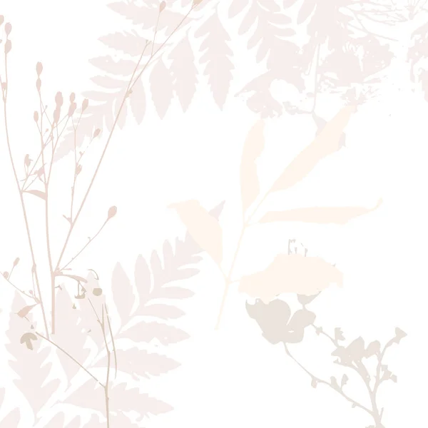 精美的病媒图案 草本植物 柔和的漆色 浅红色 米黄色 粉色背景 — 图库矢量图片