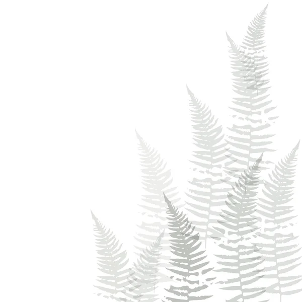 Delicate Vector Pattern Wild Flowers Herbs Botanicals Soft Pastel Colors — Image vectorielle
