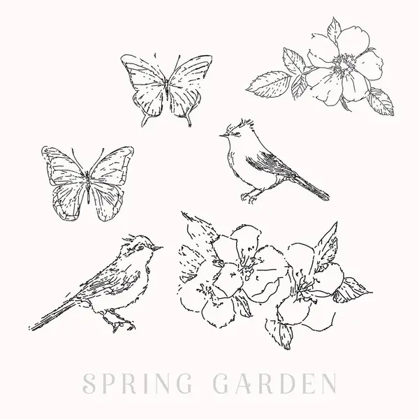 Bahar Kuşları Çiçek Açan Çiçekler Kelebekler Vektör Çizimleri Çizilmiş Elementler — Stok Vektör