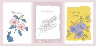 Tebrik kartı seti, bahar çiçekleri ve Paskalya tavşanları el çizimi dokusu, soyut sanat, sanatsal, vektör botanik çizimi.