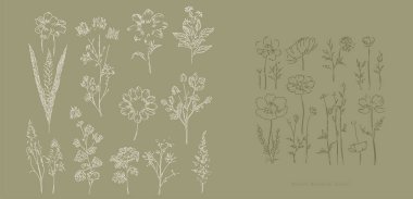 Yaban çiçekleri çiçek vektör sanatı, soyut botanik illüstrasyon, çizgi sanat dokuları, çizilmiş kır çiçekleri. Çağdaş sanatsal