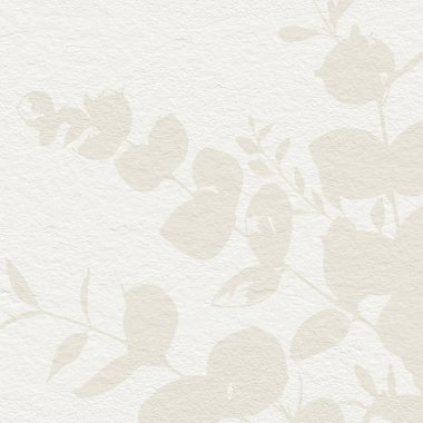 Yumuşak botanik sanatı okaliptüs yapraklı narin çiçekli kağıt dokusu. Pastel bej nötr tonlar 