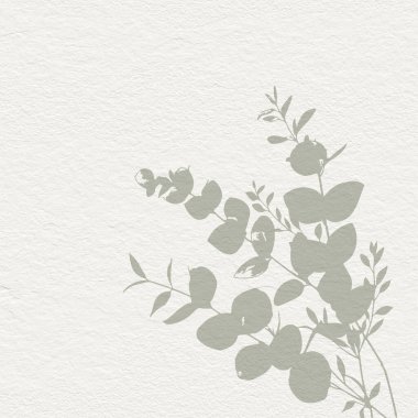 Yumuşak botanik sanatı okaliptüs yapraklı narin çiçekli kağıt dokusu. Pastel nötr bej ve gri yeşil tonlar 