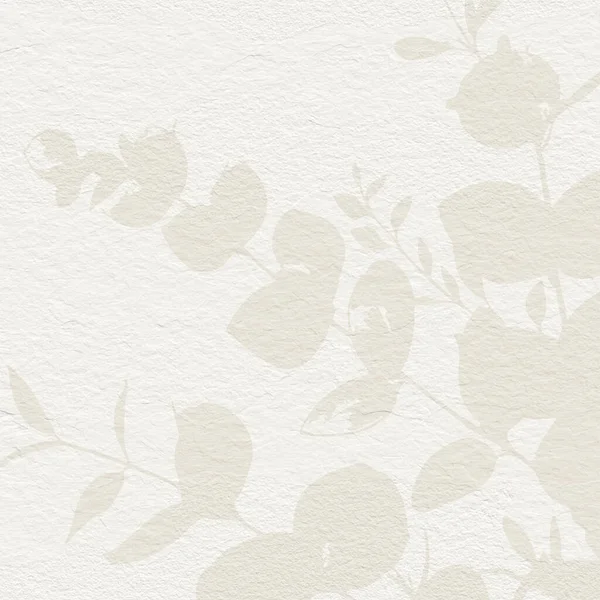 Yumuşak botanik sanatı okaliptüs yapraklı narin çiçekli kağıt dokusu. Pastel bej nötr tonlar 