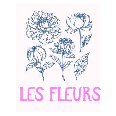 Şakayık çiçekleri, soyut çizimler, resimli karalamalar, Fransızca yazılmış çiçek posteri tasarımı, LES FLEURS alıntısı