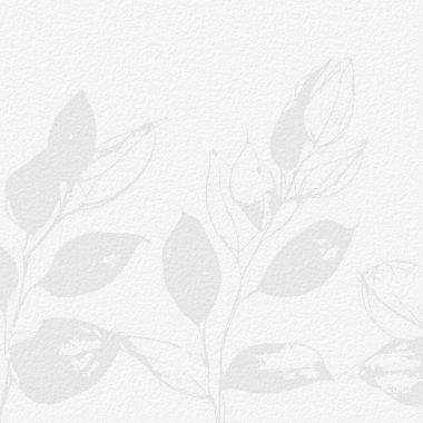 Yumuşak botanik sanatı okaliptüs yapraklı narin çiçekli kağıt dokusu. Pastel bej nötr tonlar 