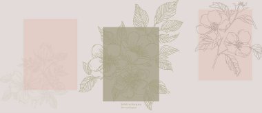 Şakayıklı çiçek başlığı, yaban gülü, gül kalçası çiçeği, asgari soyut botanik illüstrasyon, modern baskılar