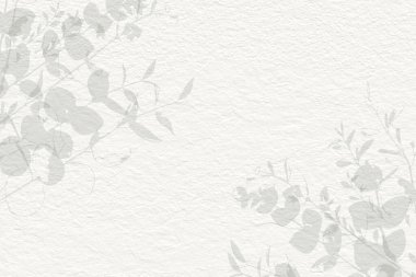 Yumuşak botanik sanatı okaliptüs yapraklı narin çiçekli kağıt dokusu. Pastel nötr bej ve gri yeşil tonlar 