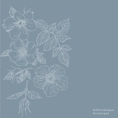 Gül kalçalı yabani çiçek çizimi, poster modern sanat. Çağdaş botanik. Vektör illüstrasyonu