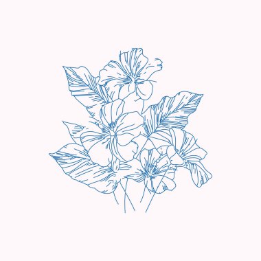 Hawaii çiçek illüstrasyonu, tropikal çiçek sanatsal tarzı, mavi ve pembe tonlar, Hibiscus egzotik gülleri ve yaprakları.