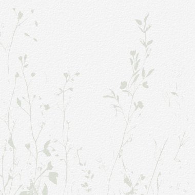 Narin, suluboya, botanik, dijital kağıt, çiçek arkaplanı, basit, çıplak, yeşil tonlarda. Beyaz organik kağıt dokusunda nötr zarif desen