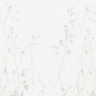 Narin, suluboya, botanik, dijital kağıt, çiçek arkaplanı, basit, çıplak, yeşil tonlarda. Beyaz organik kağıt dokusunda nötr zarif desen