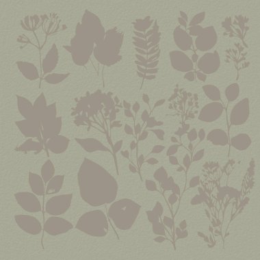 Yumuşak botanik sanatı okaliptüs yapraklı narin çiçekli kağıt dokusu. Pastel nötr bej ve gri yeşil tonlar 