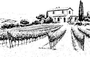 Toskana Villa veya Provence kaba taslak, soyut dijital illüstrasyon, düğün davetiyesi, şarap imalathanesi konsepti. Üzüm bağları manzaraları