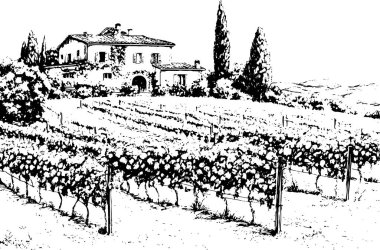 Toskana Villa veya Provence kaba taslak, soyut dijital illüstrasyon, düğün davetiyesi, şarap imalathanesi konsepti. Üzüm bağları manzaraları