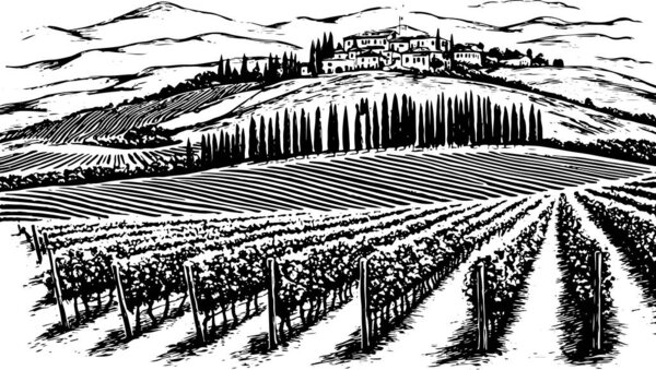 Тосканская вилла или Прованс, цифровая иллюстрация, приглашение на свадьбу, концепция винодельни. Виноградники