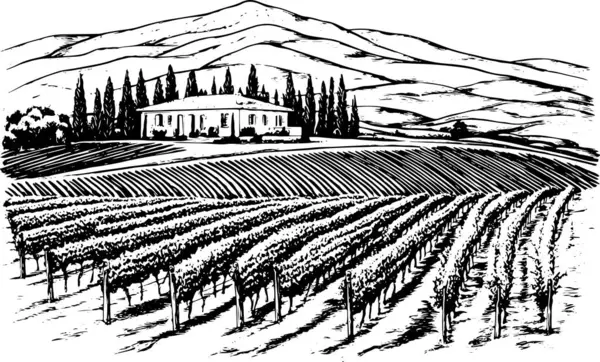 Toskana Villa veya Provence kaba taslak, soyut dijital illüstrasyon, düğün davetiyesi, şarap imalathanesi konsepti. Üzüm bağları manzaraları