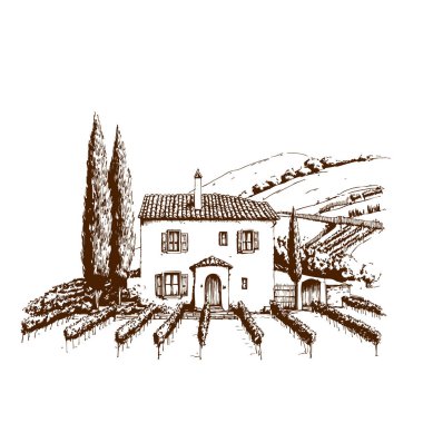 Toskana Villa veya Provence kaba taslak, soyut dijital illüstrasyon, düğün davetiyesi, şarap imalathanesi konsepti. Üzüm bağları manzaraları