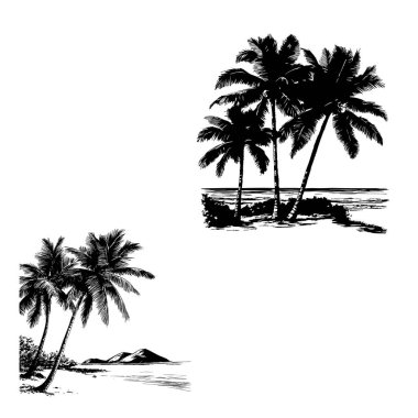 Elindeki palmiye ağaçları siyah-beyaz çizim tarzıyla çizilmiş. Vektör illüstrasyonu