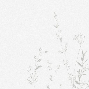 Narin, suluboya, botanik, dijital kağıt, çiçek arkaplanı, basit, çıplak, yeşil tonlarda. Beyaz organik kağıt dokusunda nötr zarif desen