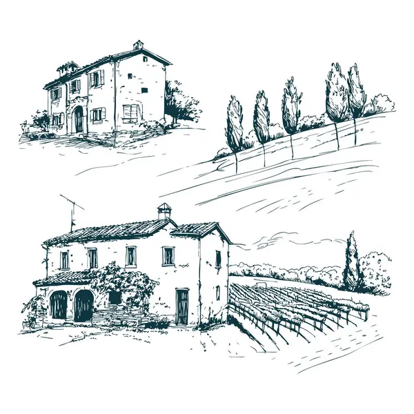 Toskana Villa veya Provence kaba taslak, soyut dijital illüstrasyon, düğün davetiyesi, şarap imalathanesi konsepti. Üzüm bağları manzaraları