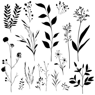 Botanik Siluet Vektör Seti, Minimalist Yaban Çiçekleri, Bitki Yeşilliği Clipart