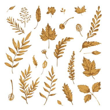 Bej yapraklar, sonbahar suluboya elementleri, yapraklar, çiçek fırçası desenleri, nötr boho