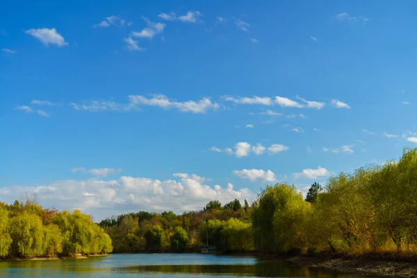 stock image Autumn landscape colorful trees and sky.