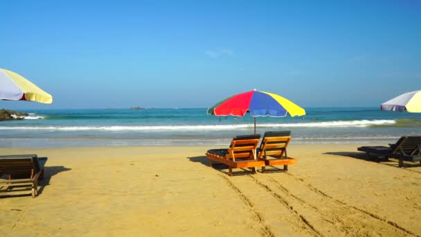 Sunbeds Trace Umbrella Beach Sea — Stockvideo