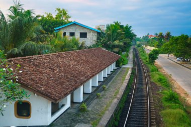 Railway and station among palm trees.