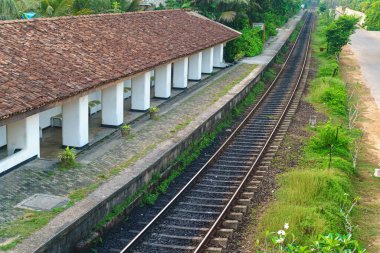 Old railway and station among palm trees.