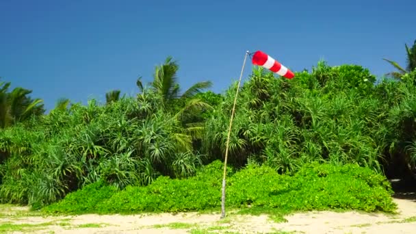 Calza Vento Gonfiata Contro Piante Sulla Spiaggia — Video Stock
