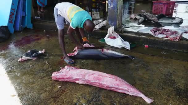 Homem Cortou Pele Tubarão — Vídeo de Stock