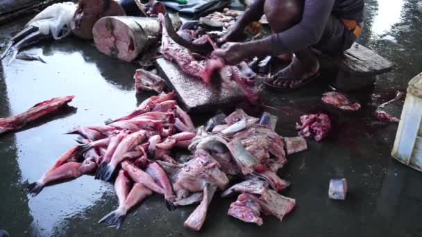 Man Cuts Fish Fish Market — Video Stock