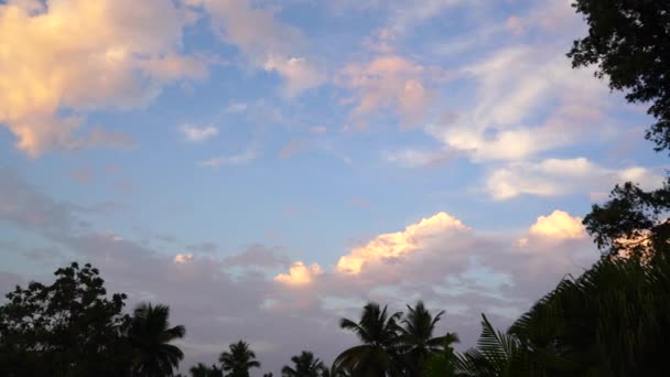 Mavi Gökyüzündeki Bulutlar Gündoğumunda Ağaçların Siluetinde — Stok video