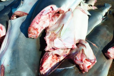 Balık pazarında kafası ve pulu olmayan balıklar..