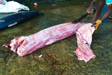 Adam büyük bir balığın derisini bıçakla yüzüyor..