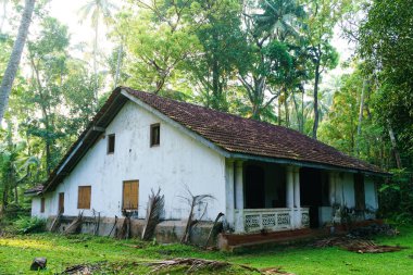 Palmiye ağaçlarının arasında bir ev.
