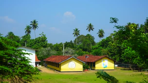 Начальная Школа Среди Пальм Шри Ланки — стоковое видео
