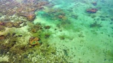 Şeffaf su, küçük dalgalar ve kayalık bir taban..