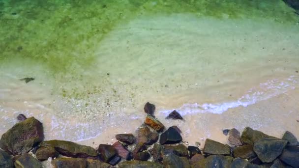 Água Limpa Praia Areia Com Pedras Vista Superior — Vídeo de Stock